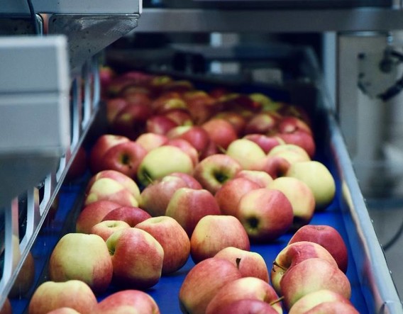 empaque de manzanas con Robots para la industria alimentaria